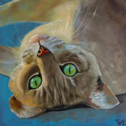 Bonheur de chat