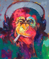 Casque « Colorful Monkey »