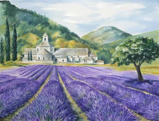 La sérénité des champs de lavande