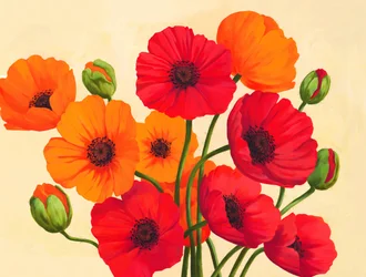 Coquelicots rouge-orange