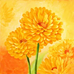 Fleurs d