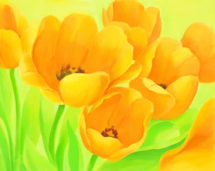 Tulipes d