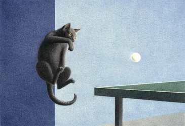 Ping-pong