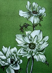 Inquiétantes fleurs vertes