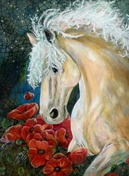 Cheval rêveur et coquelicots