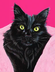 Vibrant portrait de chat noir