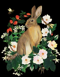 Lapin sauvage et fleurs