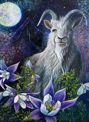 « La saison du Capricorne » : pleine lune de la Chèvre et fleurs d