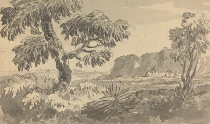 Paysage avec deux arbres et falaise