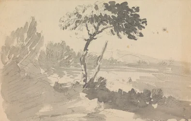 Arbre et lac