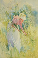 Cueillir des fleurs sauvages