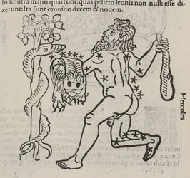 La constellation d