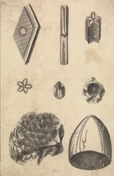 Cristaux et fossiles