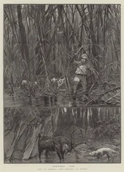 Chasse à l