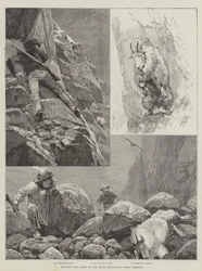 Chasse aux chèvres sauvages dans les montagnes Rocheuses, Amérique du Nord