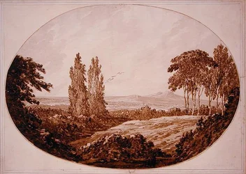 Paysage, arbres et collines rocheuses