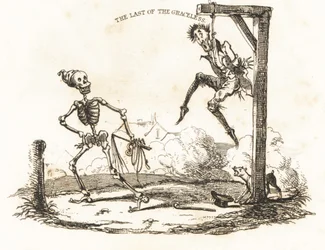 Vignette d