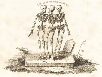 Vignette de trois squelettes sur une pierre tombale (gravure)