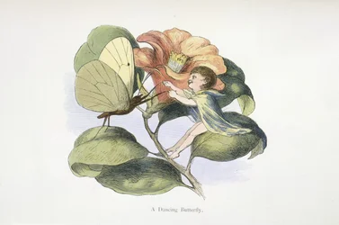Un papillon dansant