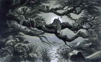 Fées, nymphes et elfes se reposant au clair de lune sur une branche? Illustration de "In Fairy land. A series of pictures from the elf - world" par Richard Doyle 1869-1870