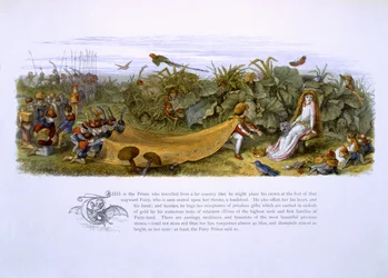 Illustrations de 