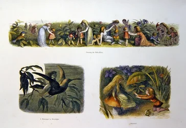 Au pays des fées