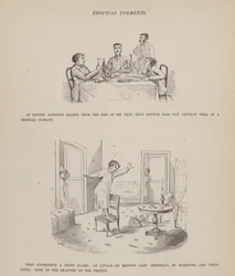 Page du Tour américain de Messieurs Brown, Jones et Robinson