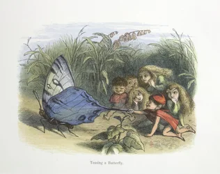 Taquiner un papillon
