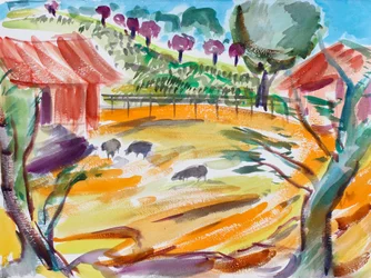 Cour de ferme avec moutons, Napa Valley, 2016