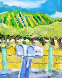 Boîtes aux lettres et vignoble, Napa, 2019