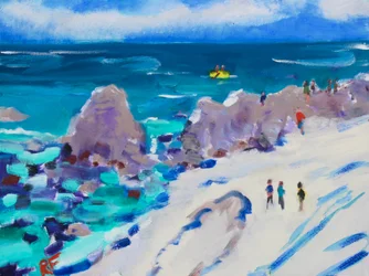 Anse de Monterey, 2017