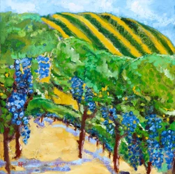 Vignoble et collines ondulantes, 2019