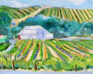 Grange blanche et vignoble, Napa, 2019