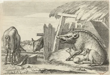 Cochons près d