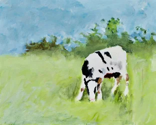 Une vache qui paît tranquillement