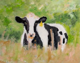 Une vache au repos dans un pâturage paisible