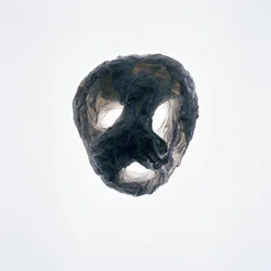 Ghoulie, 2015