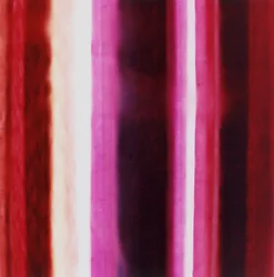 Rayure XIII, 2005