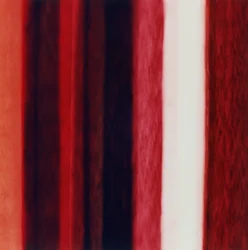 Stripe XII