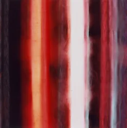 Rayure XIV, 2005