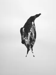 Sans titre, 2009 (monotype)