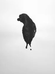 Sans titre, 2009 (monotype)
