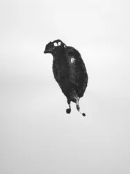 Sans titre, 2009 (monotype)