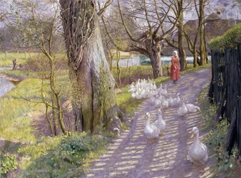 Le chemin près de l