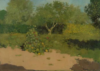 Coin de jardin avec capucines