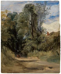 Un chemin forestier