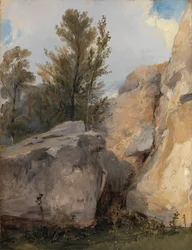 Dans la forêt de Fontainebleau
