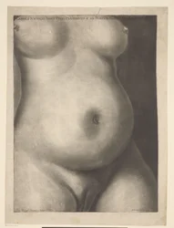 Torso d