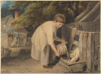 Jeune fille nourrissant des cochons
