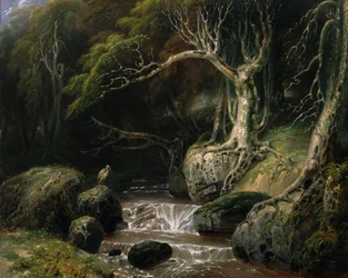Paysage - solitude